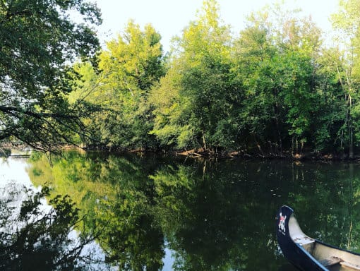 Pure_Polymer_Solution_Orlando_Ponds_Retention_thumb_image