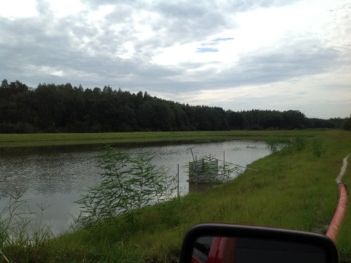 Pure_Polymer_Solution_Orlando_work_projetcs_eleventh_image_Prince_Contracting_I-75_project_after Pure_Polymer_Solution_Orlando_work_projetcs_eleventh_image_Prince_Contracting_I-75_project_after