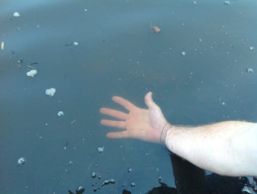 Pure_Polymer_Solution_Orlando_work_projetcs_second_image_Nelson Pure_Polymer_Solution_Orlando_work_projetcs_second_image_Nelson