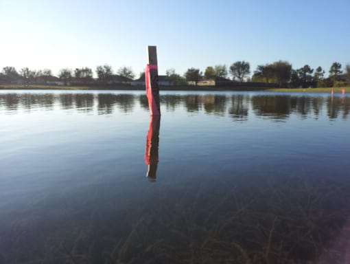 Pure_Polymer_Solution_Orlando_work_projetcs_thirteenth_image_RIPA_Forest_Creek_Manatee_County_after Pure_Polymer_Solution_Orlando_work_projetcs_thirteenth_image_RIPA_Forest_Creek_Manatee_County_after