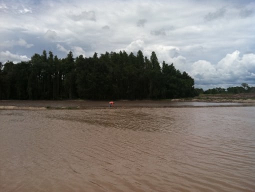 Pure_Polymer_Solution_Orlando_work_projetcs_twelvth_image_RIPA_Wiregrass_before Pure_Polymer_Solution_Orlando_work_projetcs_twelvth_image_RIPA_Wiregrass_before