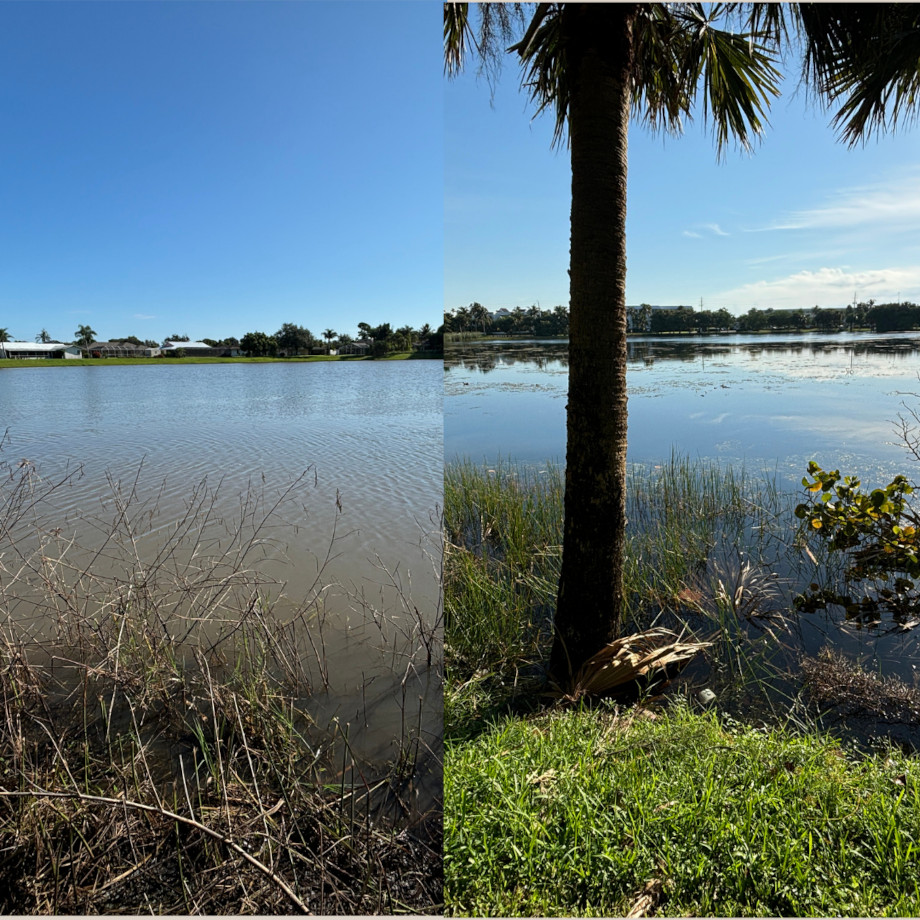 Central_Florida_Pond_Transformed_from_Murky_to_Clear_Thanks_to_Local_Water_Treatment_Team Central_Florida_Pond_Transformed_from_Murky_to_Clear_Thanks_to_Local_Water_Treatment_Team