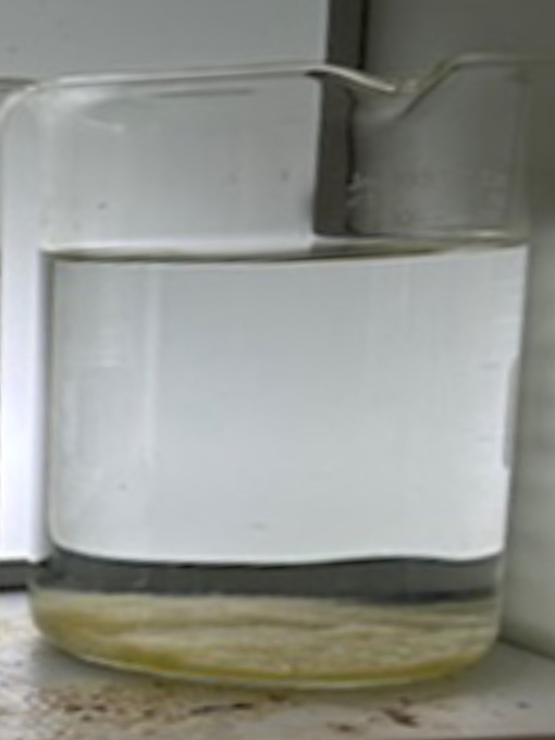 Pure_Polymer_Solution_Orlando_case_study_Achieving_Turbidity_page_2_pond_after_image