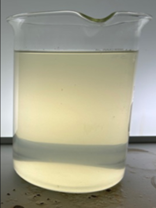 Pure_Polymer_Solution_Orlando_case_study_Achieving_Turbidity_page_4_pond_before_image