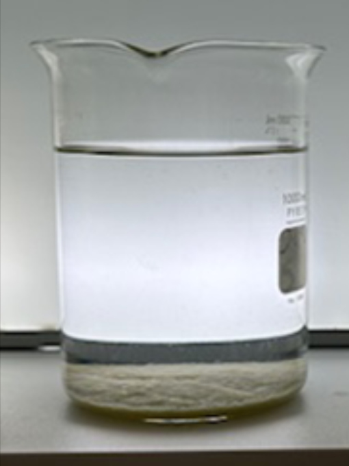 Pure_Polymer_Solution_Orlando_case_study_Achieving_Turbidity_page_pond_after_image