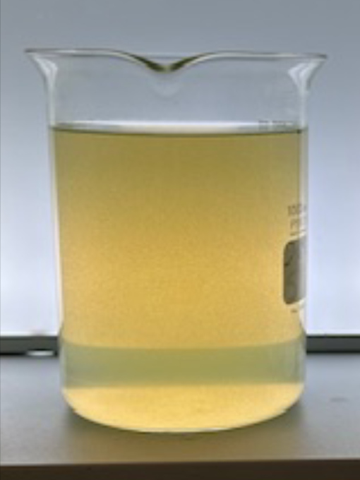 Pure_Polymer_Solution_Orlando_case_study_Achieving_Turbidity_page_pond_before_image