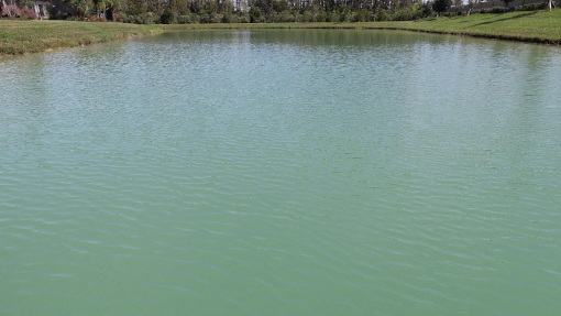 Pure_Polymer_Solution_Orlando_case_study_achieving_water_clarity_page_15th_image