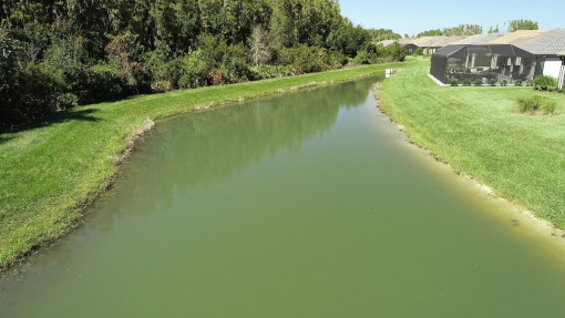 Pure_Polymer_Solution_Orlando_case_study_achieving_water_clarity_page_22nd_image